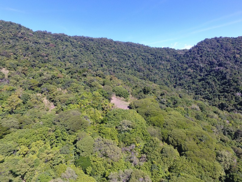 5/188 Ferrero Road, Mowbray QLD 4877