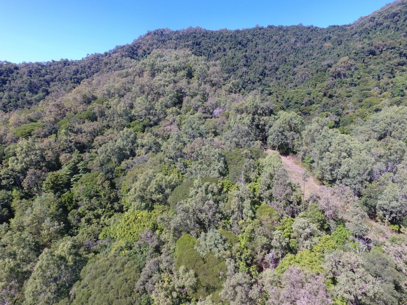 5/188 Ferrero Road, Mowbray QLD 4877