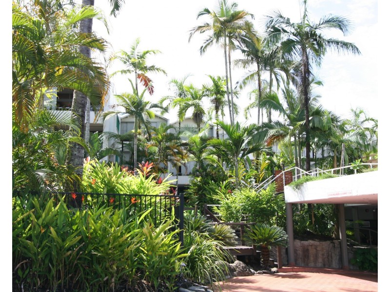 Port Douglas QLD 4877