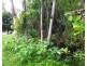 1/14-32 Barrier Street, Port Douglas QLD 4877