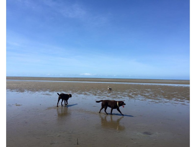 7 Bunjulu Close, Cooya Beach QLD 4873