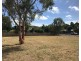 5 Riverside Parade, Trinity Park QLD 4879