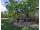 5 Jacaranda Close, Cooya Beach QLD 4873