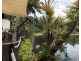 62 Mitre Street, Port Douglas QLD 4877