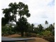 1301 Mossman-Daintree Road, Rocky Point QLD 4873
