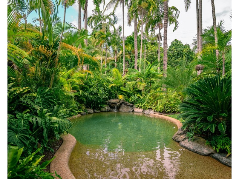 63 Reef Street, Port Douglas QLD 4877