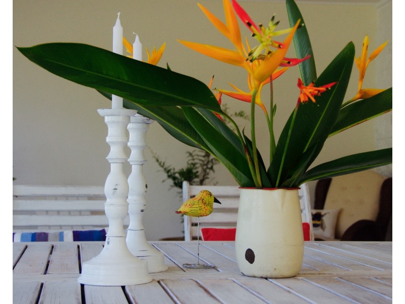 2/9  Spinnaway Close, Port Douglas QLD 4877