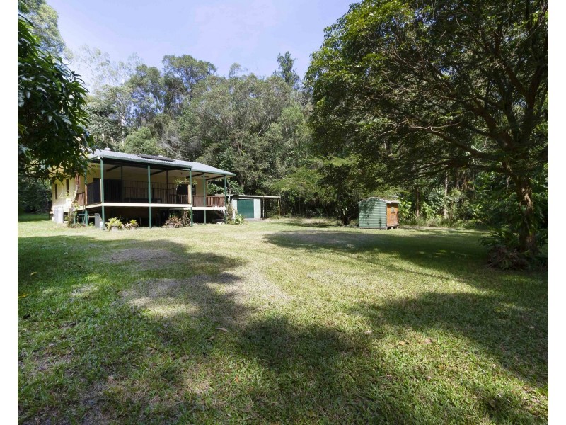 3 Forest Creek Road, Daintree QLD 4873