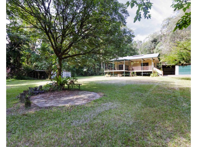 3 Forest Creek Road, Daintree QLD 4873