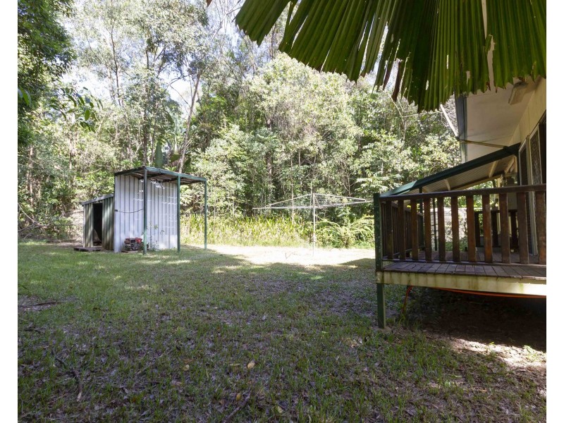 3 Forest Creek Road, Daintree QLD 4873