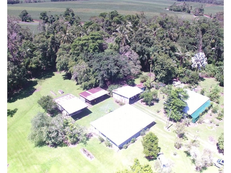 26 Miallo Road, Miallo QLD 4873