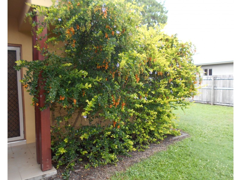 16  Shearwater Street, Port Douglas QLD 4877