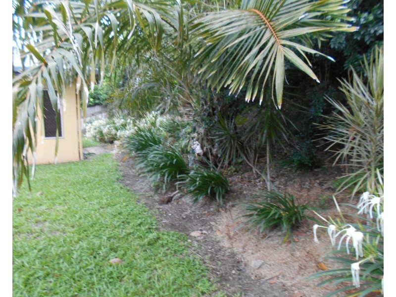 16  Shearwater Street, Port Douglas QLD 4877