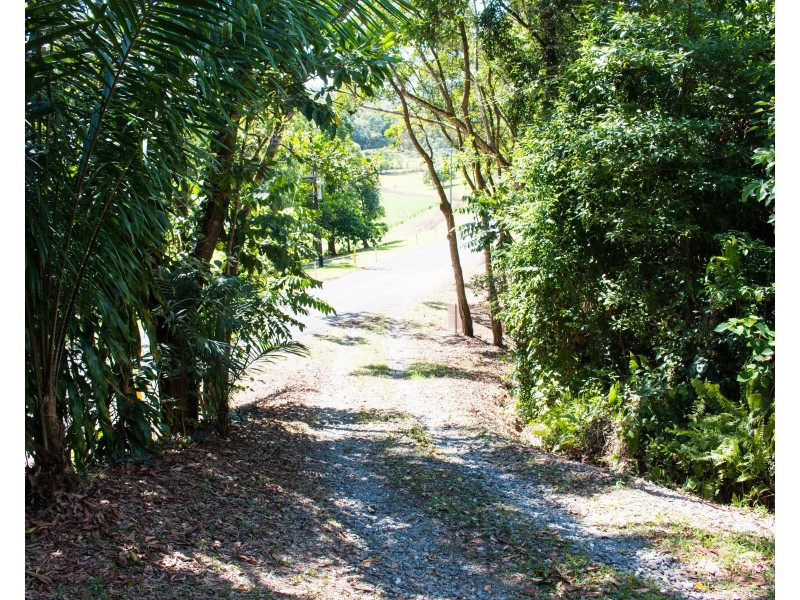 45 Whiteley Road, Miallo QLD 4873