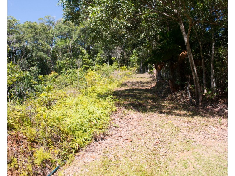45 Whiteley Road, Miallo QLD 4873