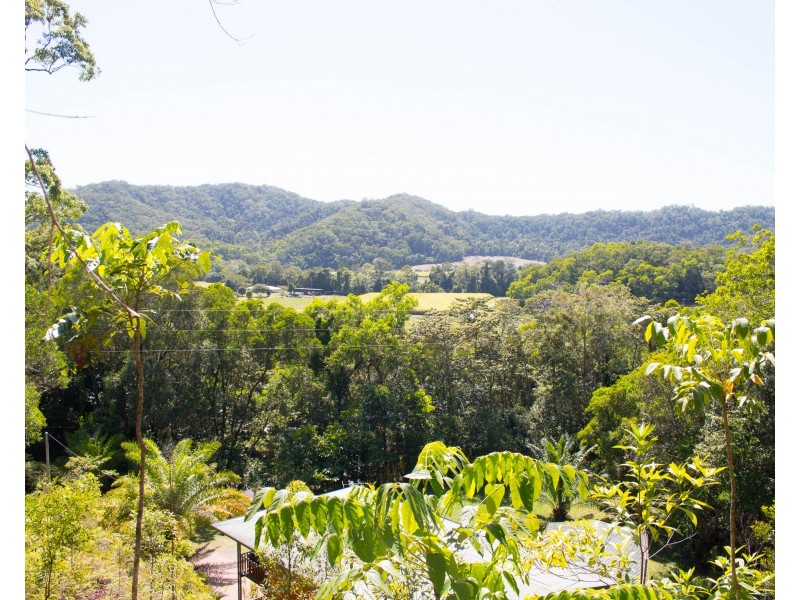 45 Whiteley Road, Miallo QLD 4873