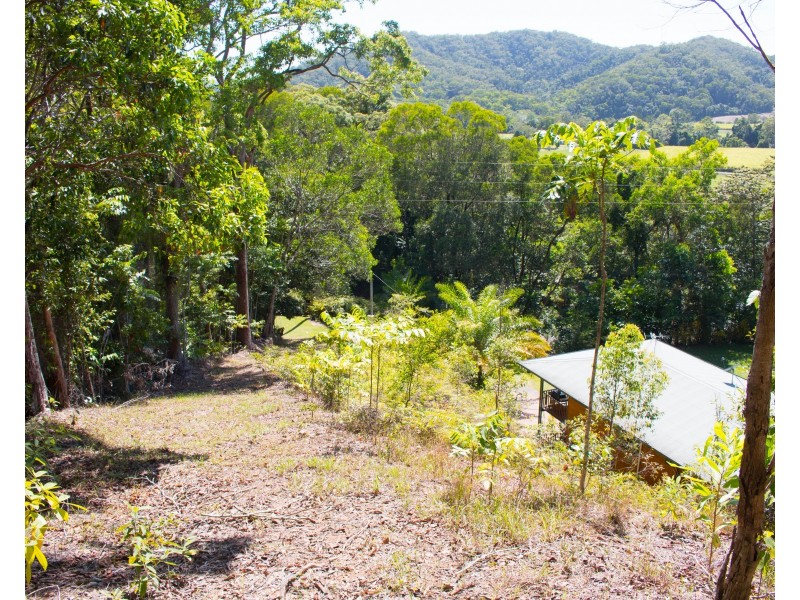 45 Whiteley Road, Miallo QLD 4873