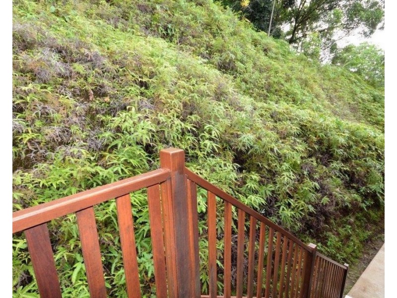 45 Whiteley Road, Miallo QLD 4873