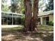 21 Hartley Street, Wangetti QLD 4877