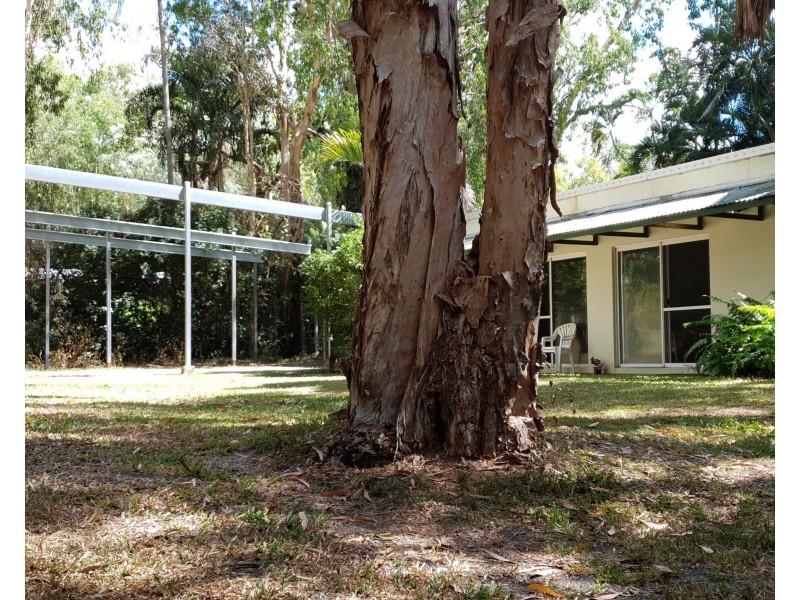 21 Hartley Street, Wangetti QLD 4877