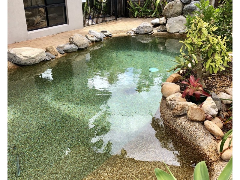 Unit 1/32 Limpet Avenue, Port Douglas QLD 4877