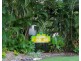 Port Douglas QLD 4877