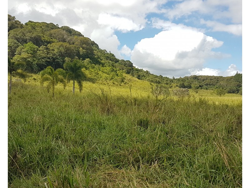 1822 Lot 2&3, Mossman-Mount Molloy Road, Julatten QLD 4871