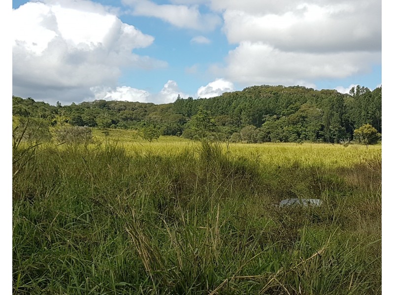 1822 Lot 2&3, Mossman-Mount Molloy Road, Julatten QLD 4871