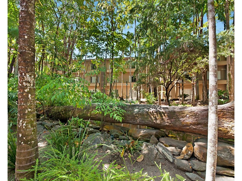 316 Port Douglas Road, Unit D336, Port Douglas QLD 4877