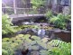 316 Port Douglas Road, Unit D336, Port Douglas QLD 4877