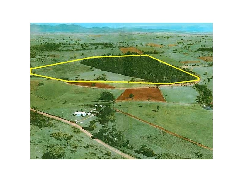13 Millaa Milla Road, Malanda QLD 4885
