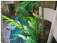 Port Douglas QLD 4877
