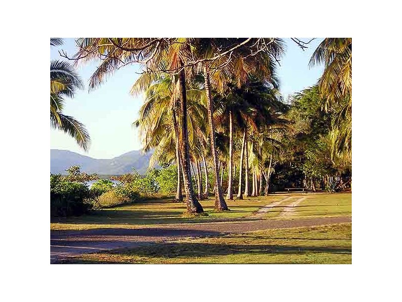 Cooya Beach QLD 4873