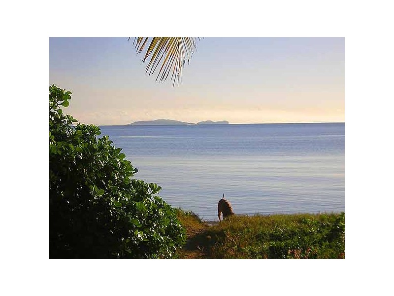 Cooya Beach QLD 4873