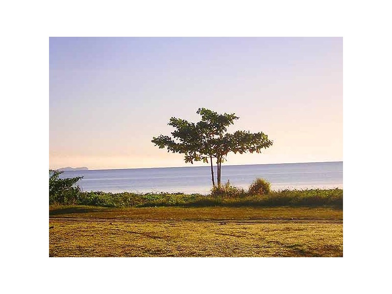 Cooya Beach QLD 4873