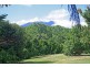 Daintree QLD 4873
