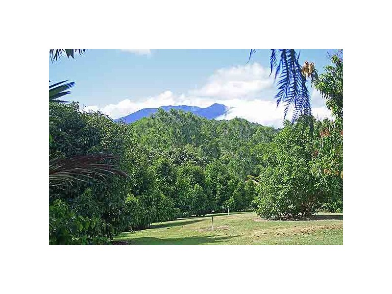 Daintree QLD 4873