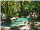 Port Douglas QLD 4877