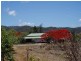 Mount Molloy QLD 4871