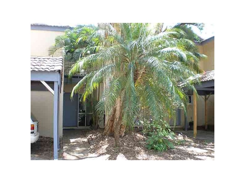 Port Douglas QLD 4877