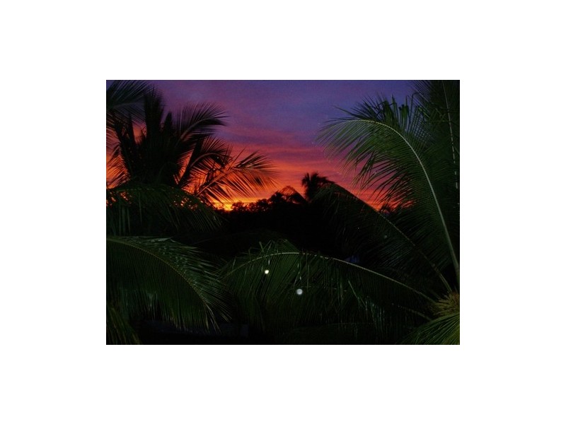 Port Douglas QLD 4877