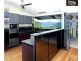 Port Douglas QLD 4877