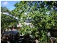 Port Douglas QLD 4877