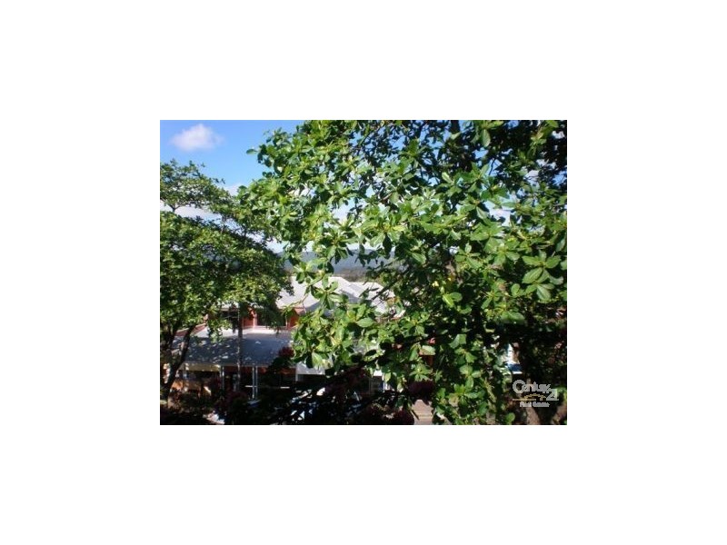 Port Douglas QLD 4877