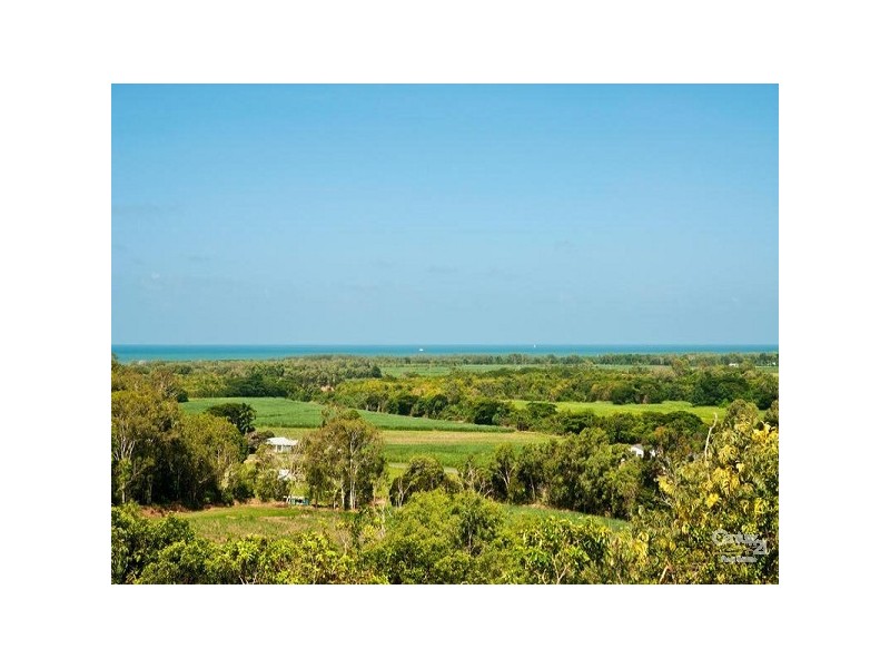 81 Mowbray River Road, Mowbray QLD 4877