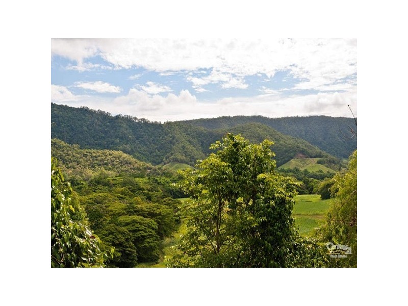 81 Mowbray River Road, Mowbray QLD 4877