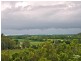 81 Mowbray River Road, Mowbray QLD 4877