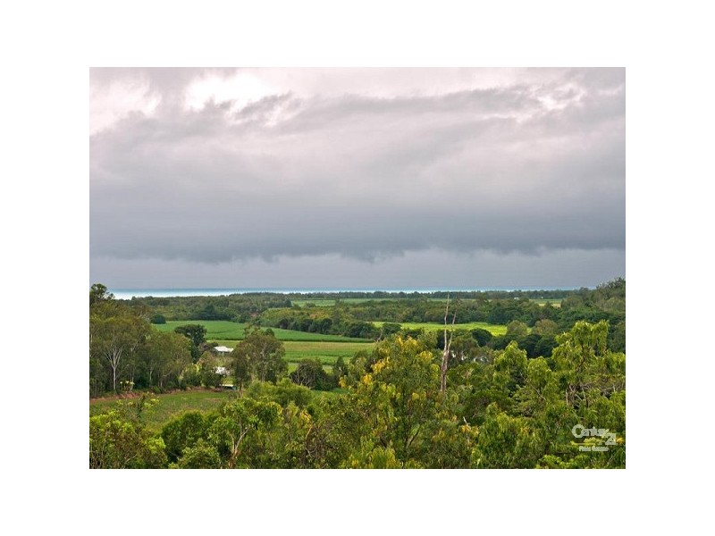 81 Mowbray River Road, Mowbray QLD 4877