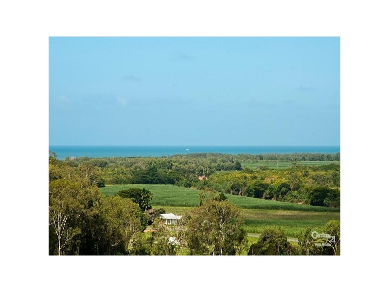 81 Mowbray River Road, Mowbray QLD 4877