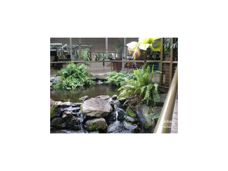 Port Douglas QLD 4877